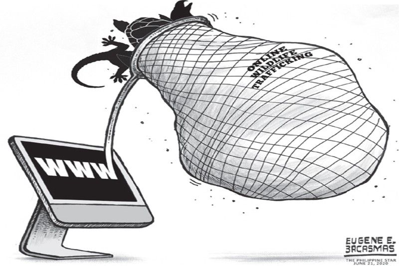 EDITORIAL - Online wildlife trafficking