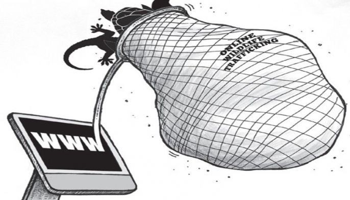 EDITORIAL - Online wildlife trafficking