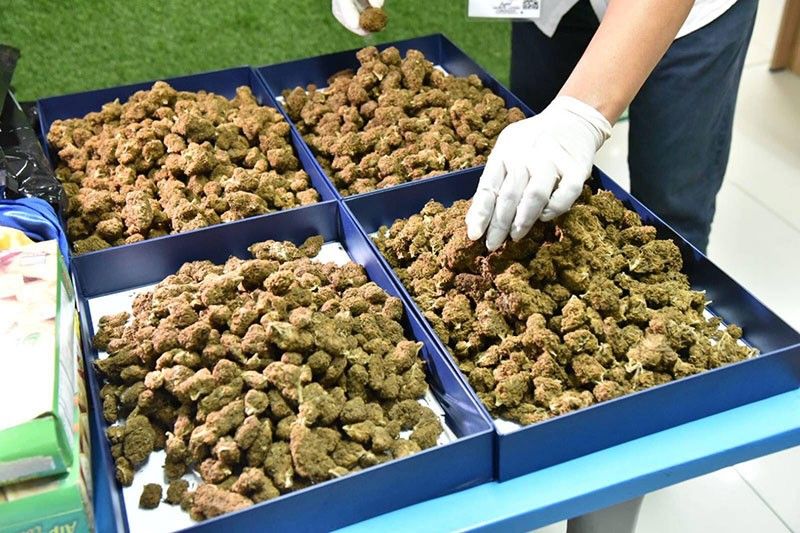 P3.1 milyong kush marijuana, nasamsam ng BOC