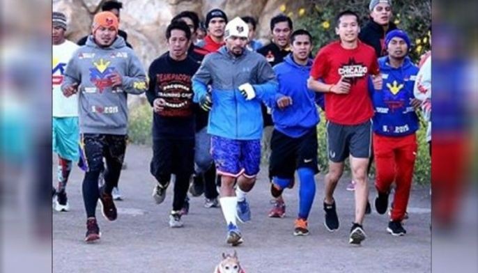 Pacman, the dog, dies in freak accident