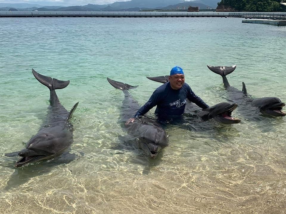 DILG: Nothing wrong with Roque's swim with dolphins