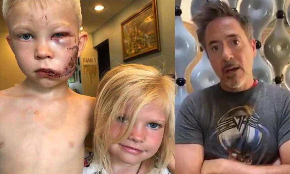 Superheroes praise US 6-year-old who saved sister from dog attack