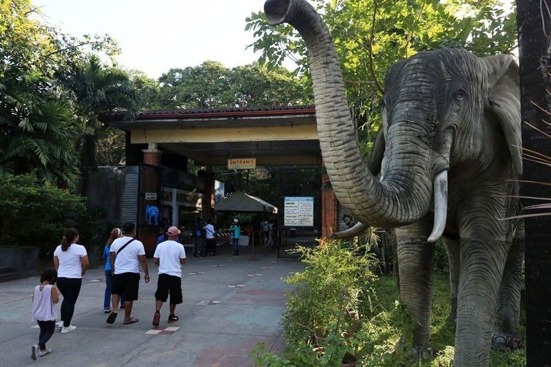 Isko leads groundbreaking for Manila Zoo rehabilitation ...