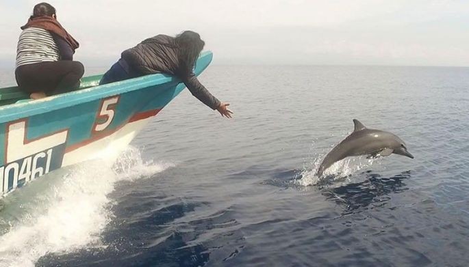 Dolphin watching, ATV bag-ong atraksyon sa Barili