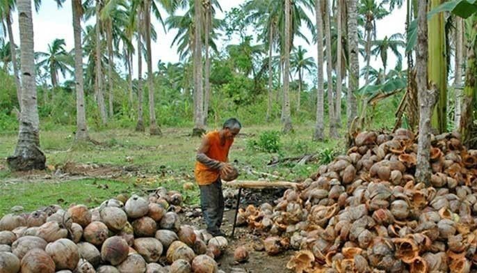 Panawagan Ni Duterte Sa Paggamit Ng Coco Levy Welcome Kay Villar