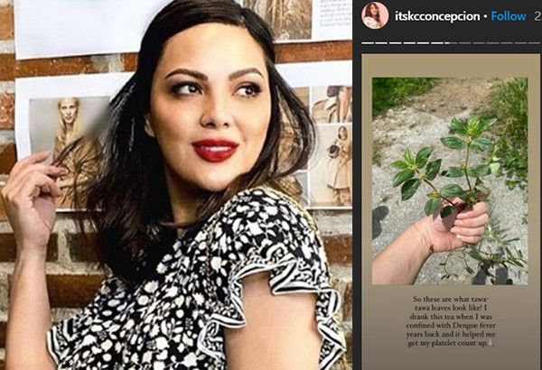 KC Concepcion raves over Tawa-tawa, which DOST studies as anti-COVID-19 supplement