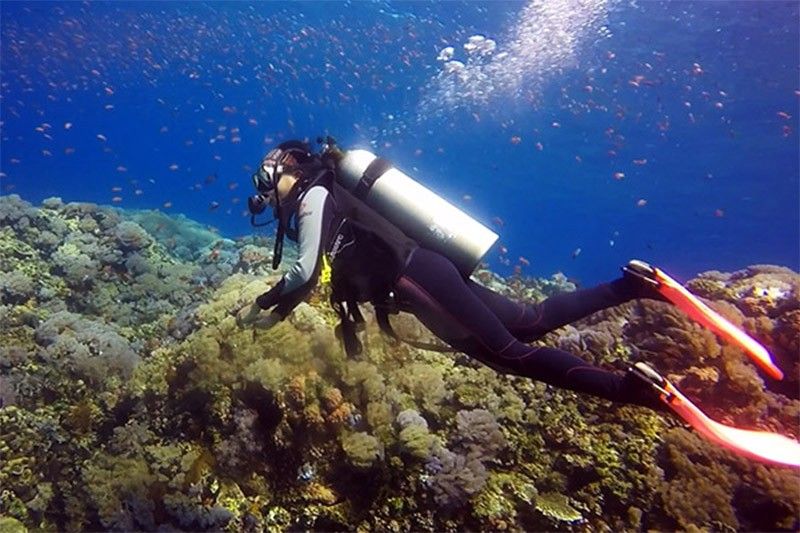 Philippines wins â��Best Overseas Diving Areaâ�� award