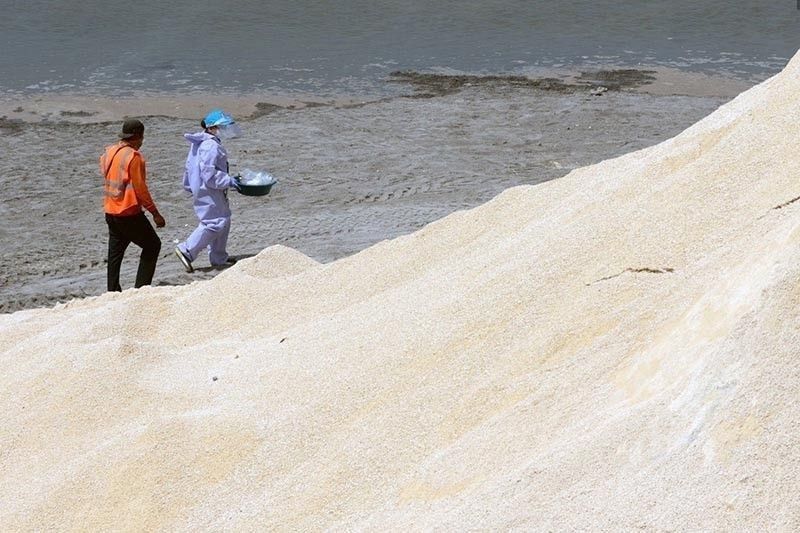 On dolomite extraction issue: DENR blames âCebu systemâ