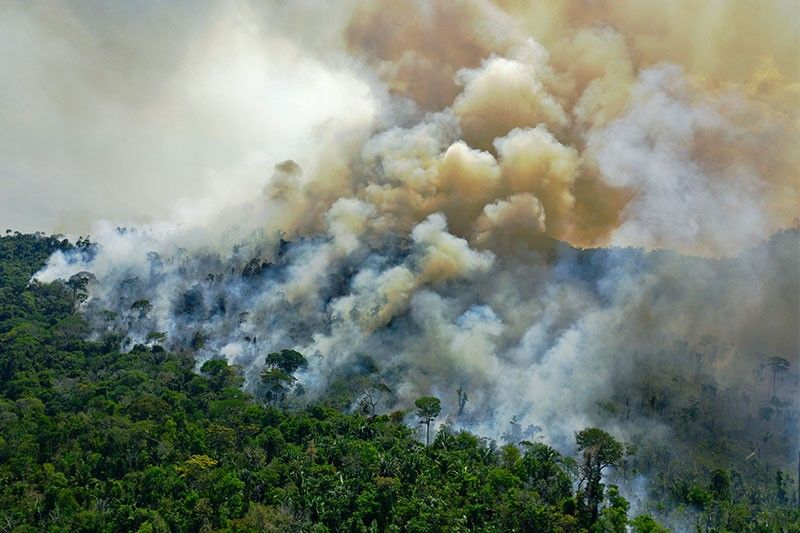 New worry over August deforestation in Brazilian Amazon