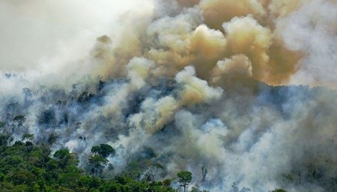 New worry over August deforestation in Brazilian Amazon