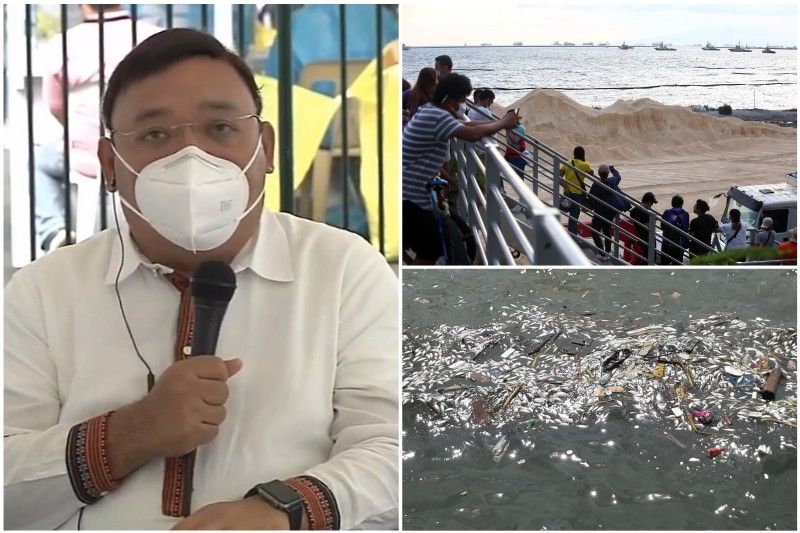 MalacaÃ±ang dudang dolomite ang sanhi ng Manila Bay fish kill; pruweba mali-mali