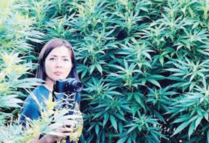 Alice Dixson explains controversial marijuana farm tour