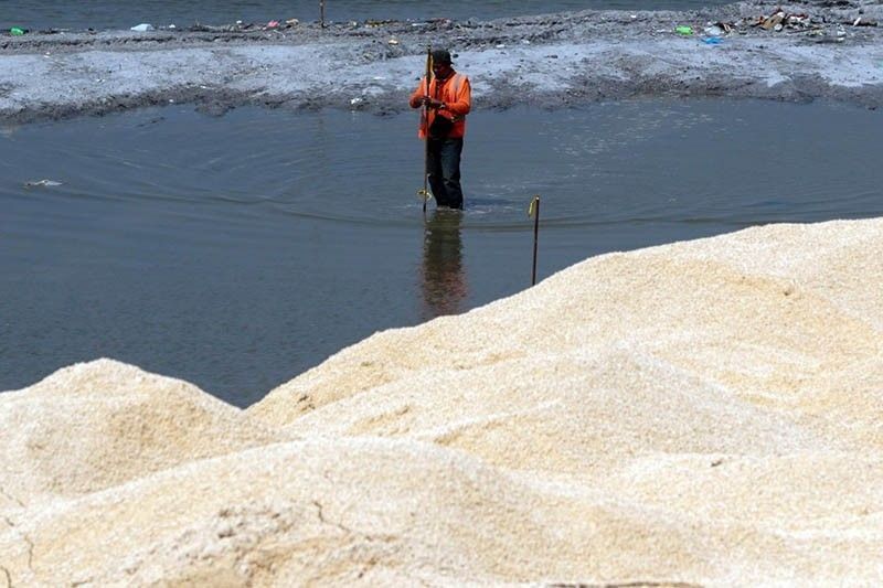 Group asks SC to cite DENR in contempt over Manila Bay 'white sand' project