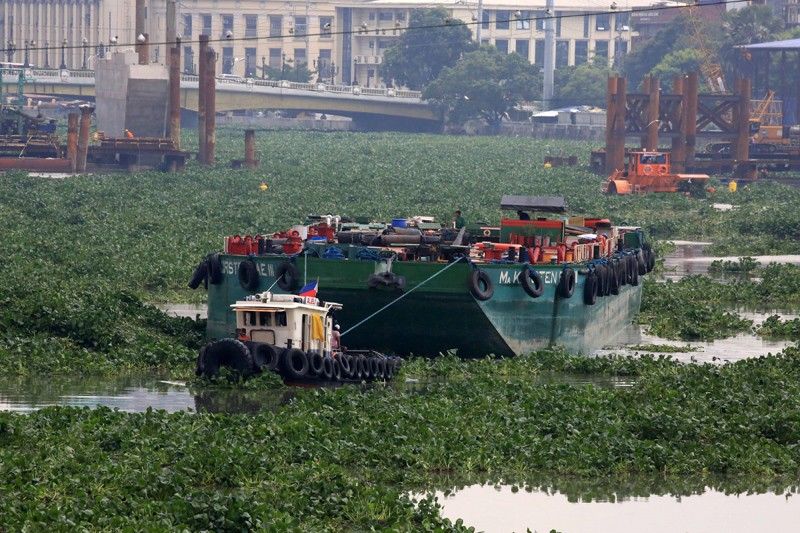MMDA halts ferry service due to water hyacinths