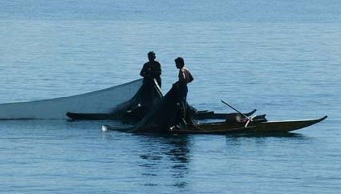 Aquaculture boost needed to fill fish supply gap