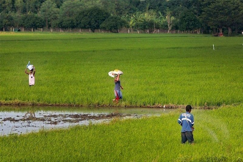 Villar: P2.1 billion loans available yearly for farmers, fishers