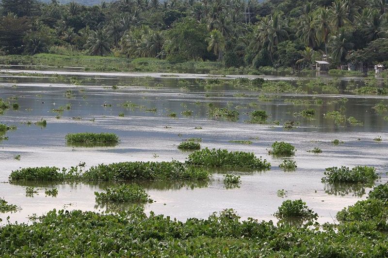 Floods displace thousands in central Mindanao