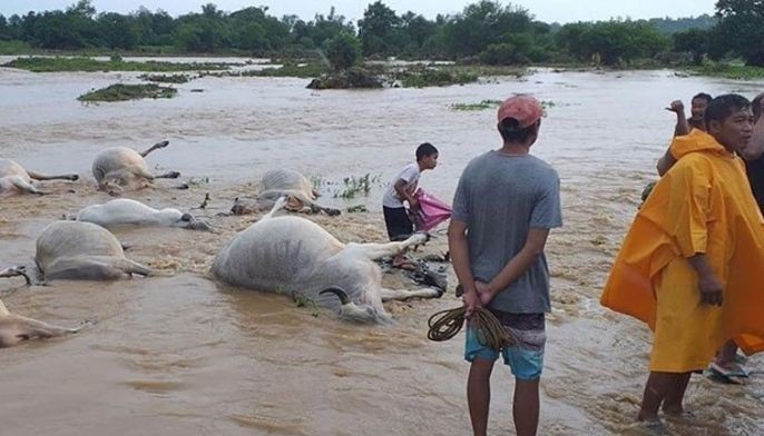 Flash floods rumagasa sa Cagayan