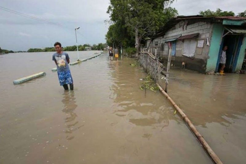 Quinta batters Luzon; thousands displaced