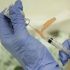 Palace: Unnamed vaccine czar appointed 2 months ago