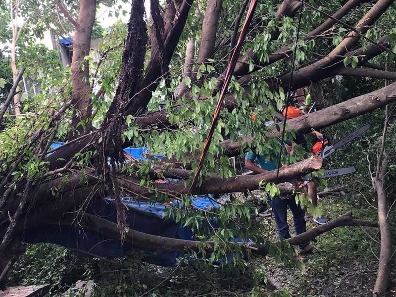 Batangas placed under state of calamity after Typhoon Quinta