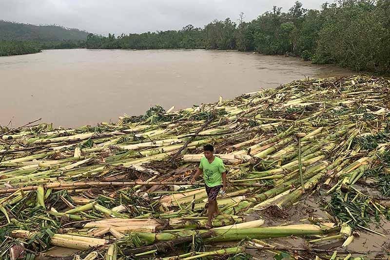 Majority of Filipinos believe climate change will affect their lives â�� Harvard study