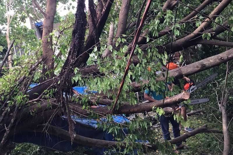 Quinta death toll hits 16; agriculture damage at P1.7 billion