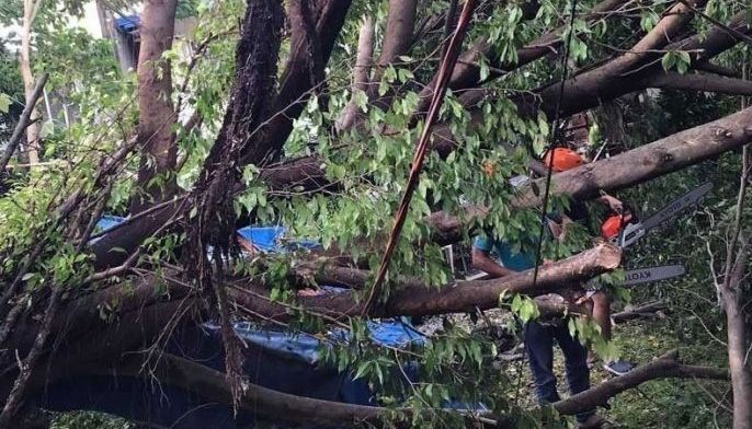 Quinta death toll hits 16; agriculture damage at P1.7 billion