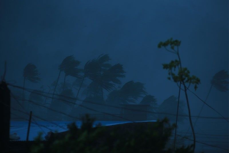 4 dead as Typhoon Rolly batters Philippines