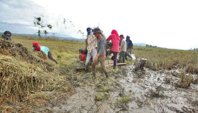 Rolly infrastructure, agriculture damage hits P11 billion