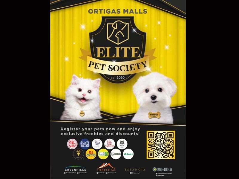Ortigas Malls launches an 'Elite Society' for Pets