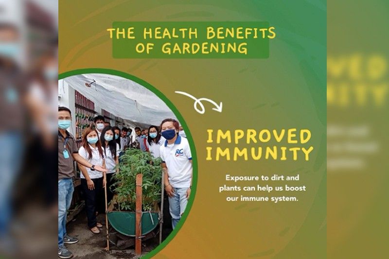 6 proven health benefits of gardening