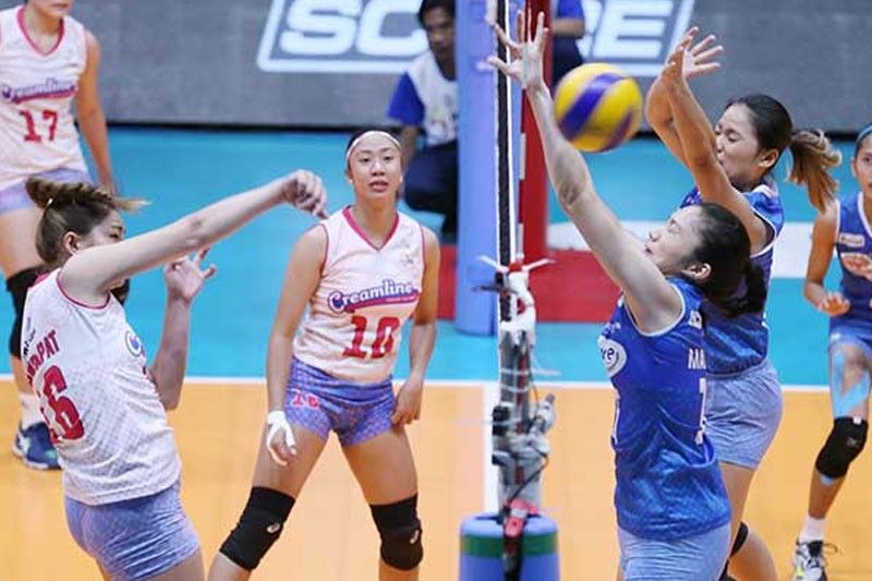 PVL belles entering pro world