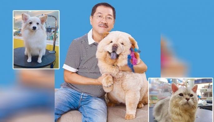 Welcome to Danny Tan&rsquo;s furry world