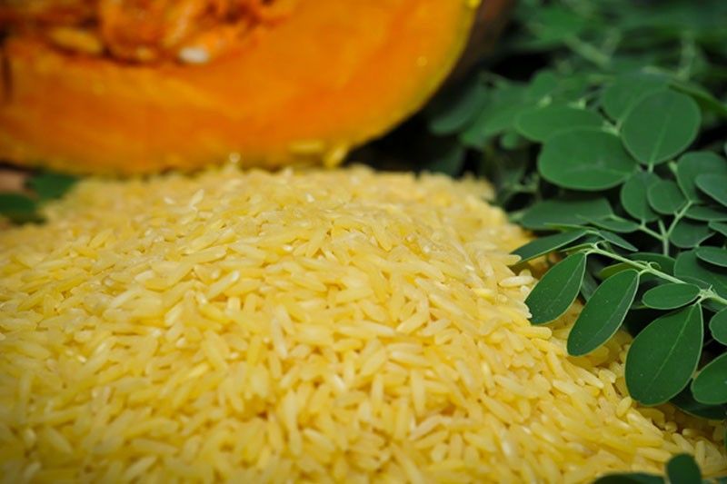 Golden Rice to be available in 3 years