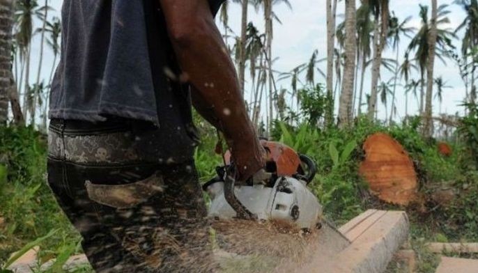 DILG: Some mayors involved in illegal logging, mining