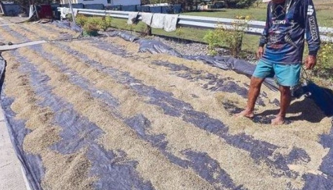 Agri, infra damage caused by Typhoon Ulysses now over P16 billion &mdash; NDRRMC