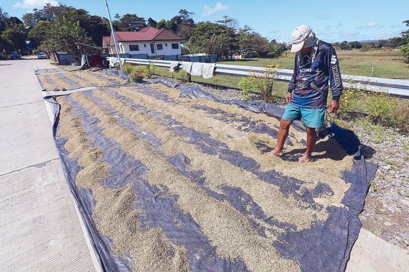 Ulysses damage to agriculture  hits P6.7 billion