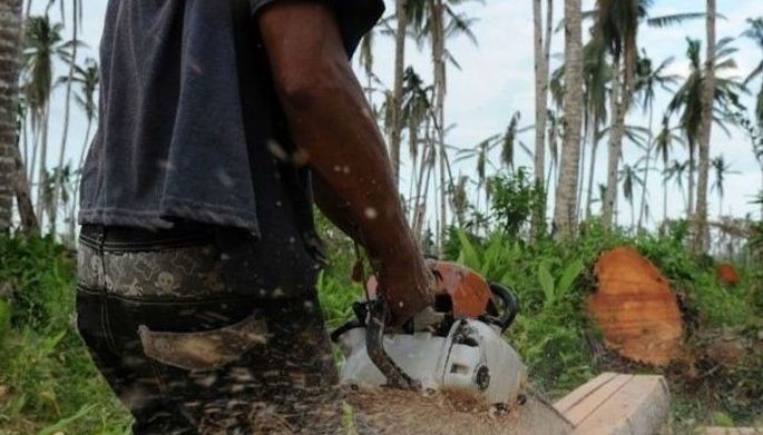 Illegal logging, mining sa Isabela hindi natigil