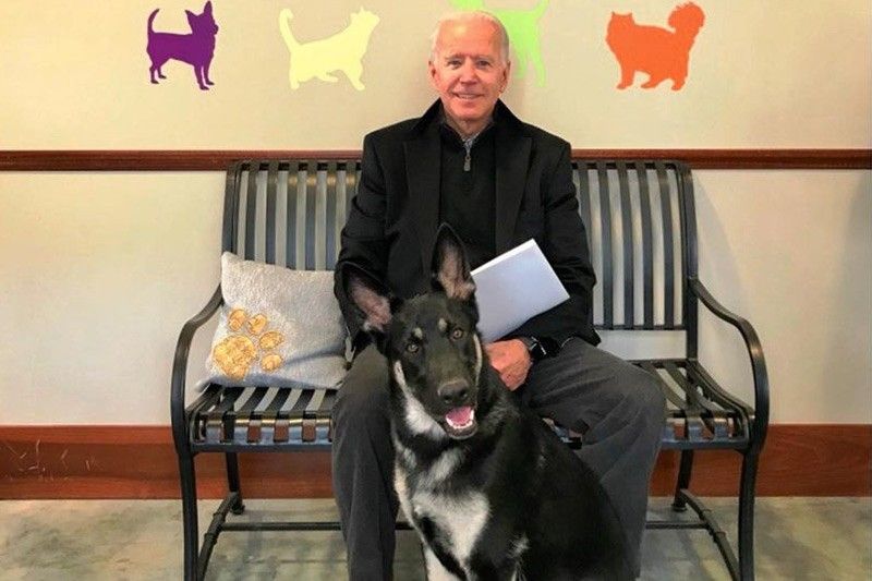 Biden's canine plans go to the dogs after 'biting incident'