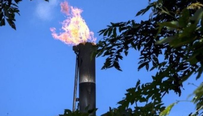 Emissions fell record 7 percent in 2020: study