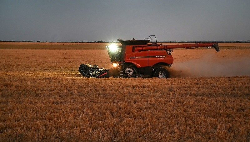 Australia takes China to WTO on barley tariffs
