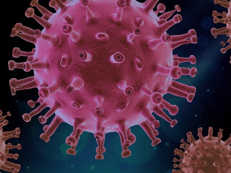 Philippines detects 242 new cases of coronavirus variants of concern