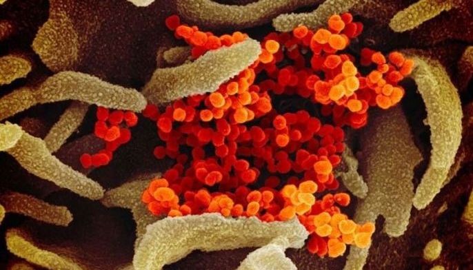 IATF creates task group on new virus variants