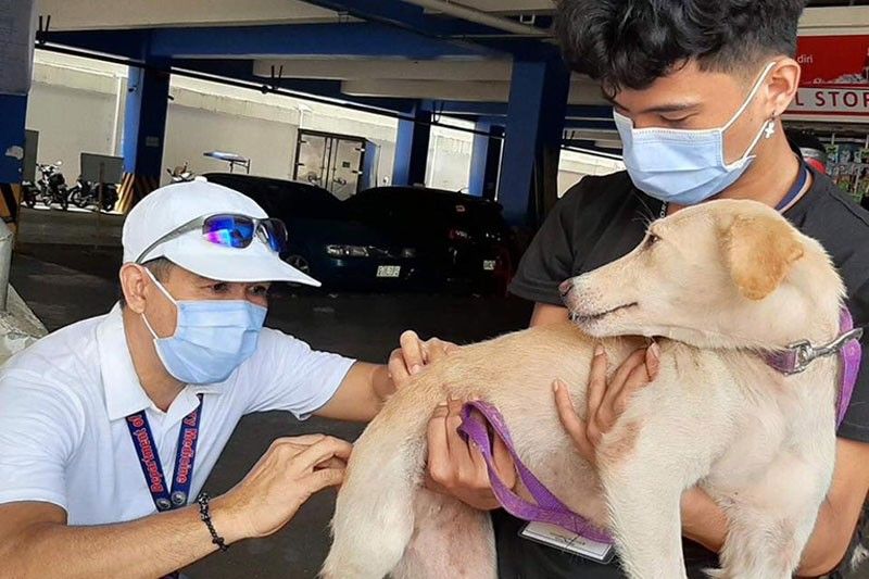 Kaso sa rabies sa Cebu City nikunhod