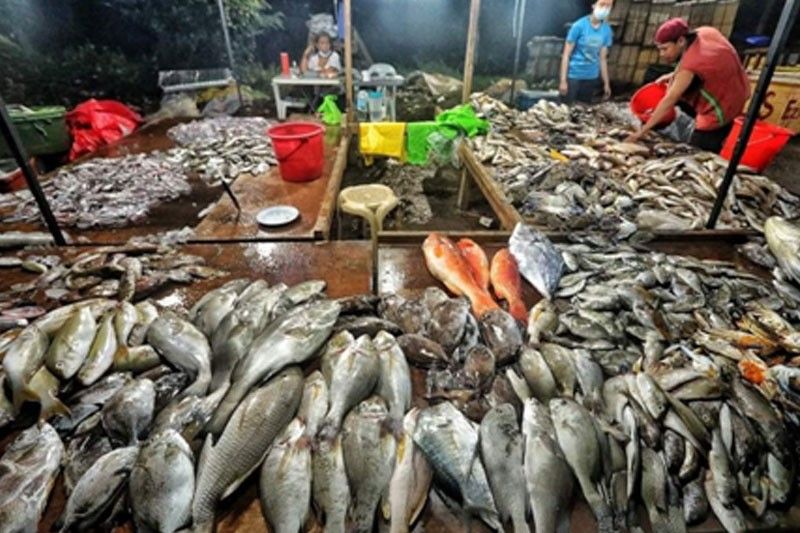 Mananagat sa Bohol hayan makabalik na og dunggo sa Pasil Fish Port