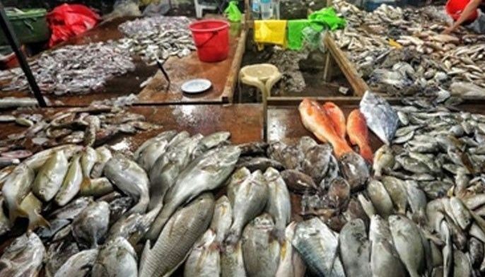 Mananagat sa Bohol hayan makabalik na og dunggo sa Pasil Fish Port