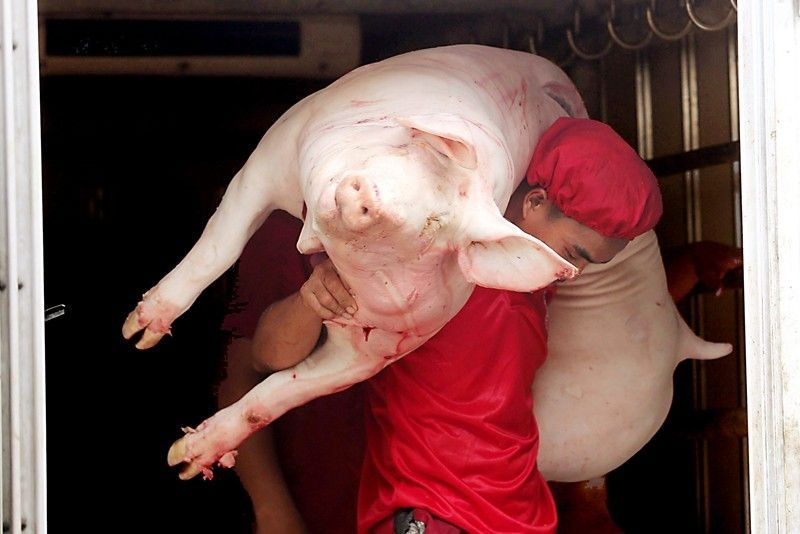 Importation to kill Philippines pork industry â�� senators