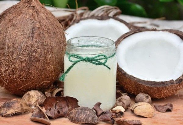 DOST, PGH exploringÂ virgin coconut oil as adjunctive therapy for hospitalized COVID-19 patients