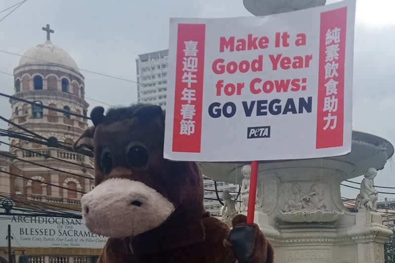 Dancing 'cow' says 'ox' to veganism ahead of Chinese New Year 2021 celebration